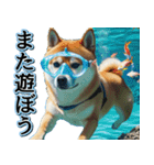 飛び出す★夏を感じる・芝犬【夏、海】しば（個別スタンプ：24）