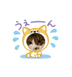 ウチの猫、空＆詩のスタンプです♪（個別スタンプ：2）