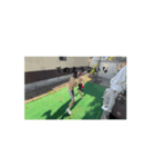 性なる男（個別スタンプ：1）