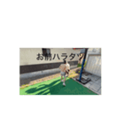 性なる男（個別スタンプ：4）