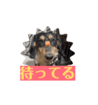 ラテオ（個別スタンプ：8）