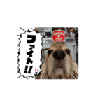 Boku.wa. Ichiro（個別スタンプ：7）