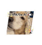 Boku.wa. Ichiro（個別スタンプ：9）
