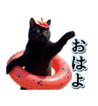 飛び出す★夏を感じる・黒猫（個別スタンプ：2）