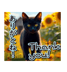 飛び出す★夏を感じる・黒猫（個別スタンプ：4）