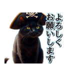 飛び出す★夏を感じる・黒猫（個別スタンプ：6）