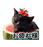 飛び出す★夏を感じる・黒猫（個別スタンプ：7）