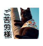 飛び出す★夏を感じる・黒猫（個別スタンプ：8）