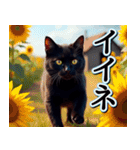 飛び出す★夏を感じる・黒猫（個別スタンプ：14）