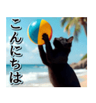 飛び出す★夏を感じる・黒猫（個別スタンプ：15）