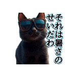 飛び出す★夏を感じる・黒猫（個別スタンプ：21）