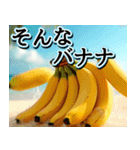 飛び出す★夏を感じる・トロピカルフルーツ（個別スタンプ：13）