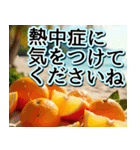 飛び出す★夏を感じる・トロピカルフルーツ（個別スタンプ：22）
