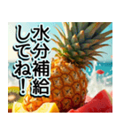 飛び出す★夏を感じる・トロピカルフルーツ（個別スタンプ：23）