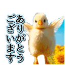 飛び出す★夏を感じる・ひよこ（個別スタンプ：4）