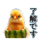 飛び出す★夏を感じる・ひよこ（個別スタンプ：10）