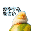 飛び出す★夏を感じる・ひよこ（個別スタンプ：13）