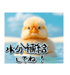 飛び出す★夏を感じる・ひよこ（個別スタンプ：17）