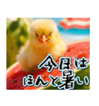 飛び出す★夏を感じる・ひよこ（個別スタンプ：19）