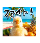 飛び出す★夏を感じる・ひよこ（個別スタンプ：22）