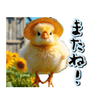 飛び出す★夏を感じる・ひよこ（個別スタンプ：24）