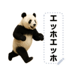 エッホエッホ 動物園のメッセージスタンプ（個別スタンプ：4）
