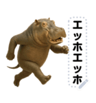 エッホエッホ 動物園のメッセージスタンプ（個別スタンプ：5）