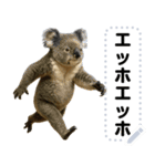 エッホエッホ 動物園のメッセージスタンプ（個別スタンプ：8）