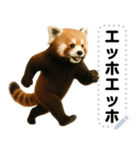 エッホエッホ 動物園のメッセージスタンプ（個別スタンプ：9）