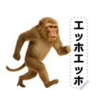 エッホエッホ 動物園のメッセージスタンプ（個別スタンプ：13）