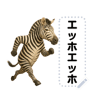 エッホエッホ 動物園のメッセージスタンプ（個別スタンプ：14）