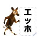 エッホエッホ 動物園のメッセージスタンプ（個別スタンプ：21）