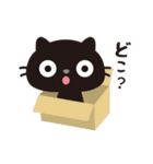 黒ねこのニャンタ_毎日使えるスタンプ（個別スタンプ：15）