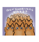 ソマリのほむらと黒猫しんちゃん（個別スタンプ：2）
