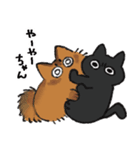 ソマリのほむらと黒猫しんちゃん（個別スタンプ：7）