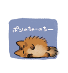 ソマリのほむらと黒猫しんちゃん（個別スタンプ：9）