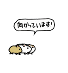 食べる！ハムスター！（個別スタンプ：13）