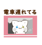 毎日使える♡白猫とシマエナガ 待ち合わせ（個別スタンプ：25）