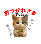 さくら耳（TNR）の桜っ子俱楽部 vol.2寄付（個別スタンプ：12）