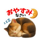 さくら耳（TNR）の桜っ子俱楽部 vol.2寄付（個別スタンプ：15）