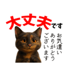 さくら耳（TNR）の桜っ子俱楽部 vol.2寄付（個別スタンプ：17）