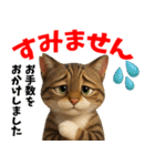 さくら耳（TNR）の桜っ子俱楽部 vol.2寄付（個別スタンプ：25）