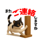 さくら耳（TNR）の桜っ子俱楽部 vol.2寄付（個別スタンプ：27）