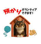 さくら耳（TNR）の桜っ子俱楽部 vol.2寄付（個別スタンプ：35）