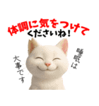 さくら耳（TNR）の桜っ子俱楽部 vol.2寄付（個別スタンプ：37）