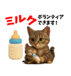 さくら耳（TNR）の桜っ子俱楽部 vol.2寄付（個別スタンプ：38）