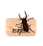 スマホの上のクワガタムシ6《関西弁》（個別スタンプ：3）