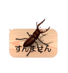 スマホの上のクワガタムシ6《関西弁》（個別スタンプ：6）