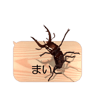 スマホの上のクワガタムシ6《関西弁》（個別スタンプ：7）