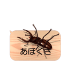 スマホの上のクワガタムシ6《関西弁》（個別スタンプ：12）